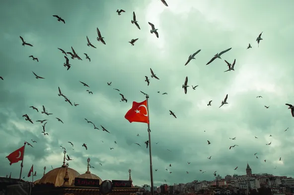 Турецкие банки приостановливают работу с платежной системой «Мир»