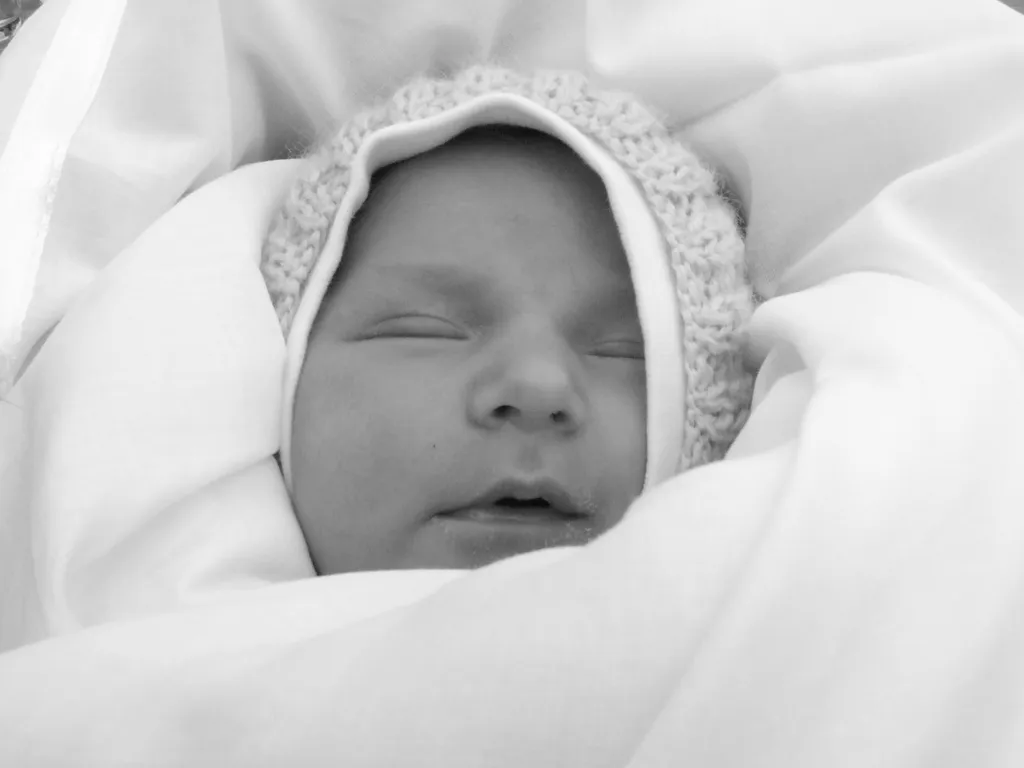 Депутаты спорят о лицензиях для нянь