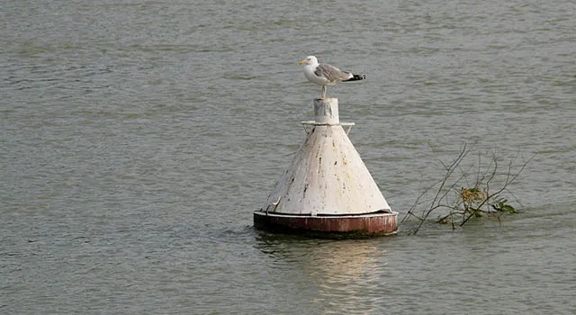 В Ставрополье снизились поступления водного налога 