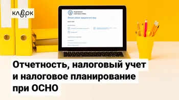 Отчетность, налоговый учет и налоговое планирование при ОСНО