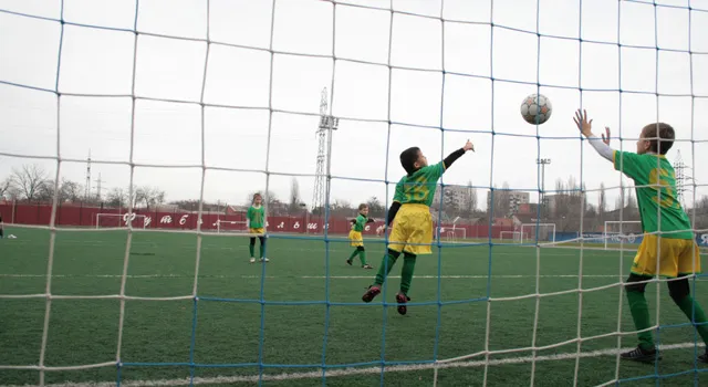 Законодатели уточнили порядок проведения чемпионата мира по футболу
