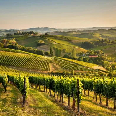 О поправках в статью 10 закона «О виноградарстве и виноделии в Российской Федерации» и Земельный кодекс