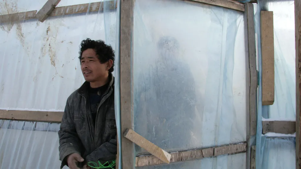 Сенаторы одобрили законопроект об уплате гастарбайтерами авансовых платежей по НДФЛ