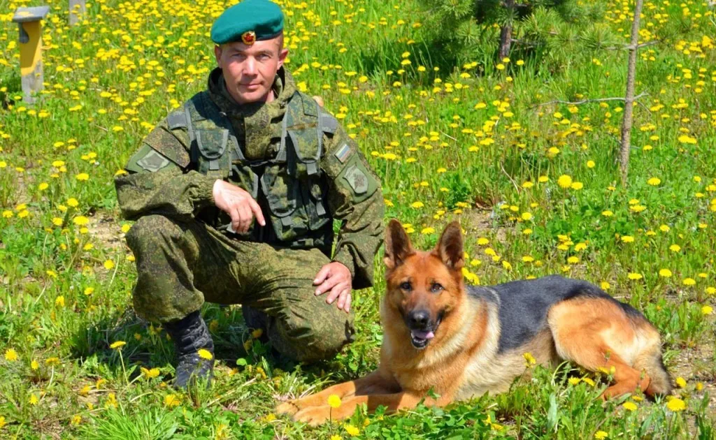 Новый порядок выдачи удостоверения ветерана боевых действий в Министерстве Внутренних Дел #МВД-как, в какие сроки и где можно получить.