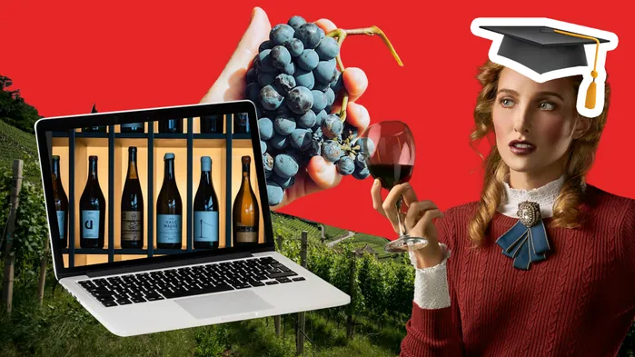 Разработка сервиса продажи редких вин по подписки и обучения