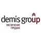 Логотип компании DEMIS GROUP