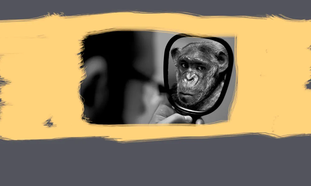 ТОП-10 ошибок в управленческом учете. Как ваши отчеты могут ввести вас в заблуждение