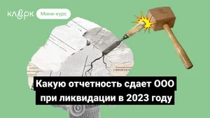 Какую отчетность сдает ООО при ликвидации в 2023 году. Мини-курс