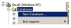 Создание новой базы данных. Ветка 'Databases'