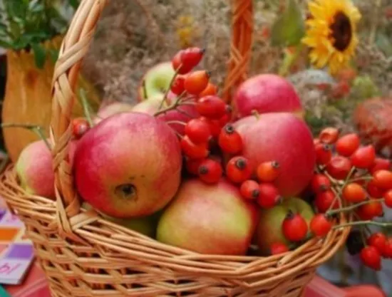 Президент призвал сельхозпроизводителей развивать садоводство