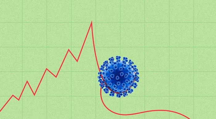 Домашний режим, тестирование и соцподдержка: ответы на главные вопросы о коронавирусе