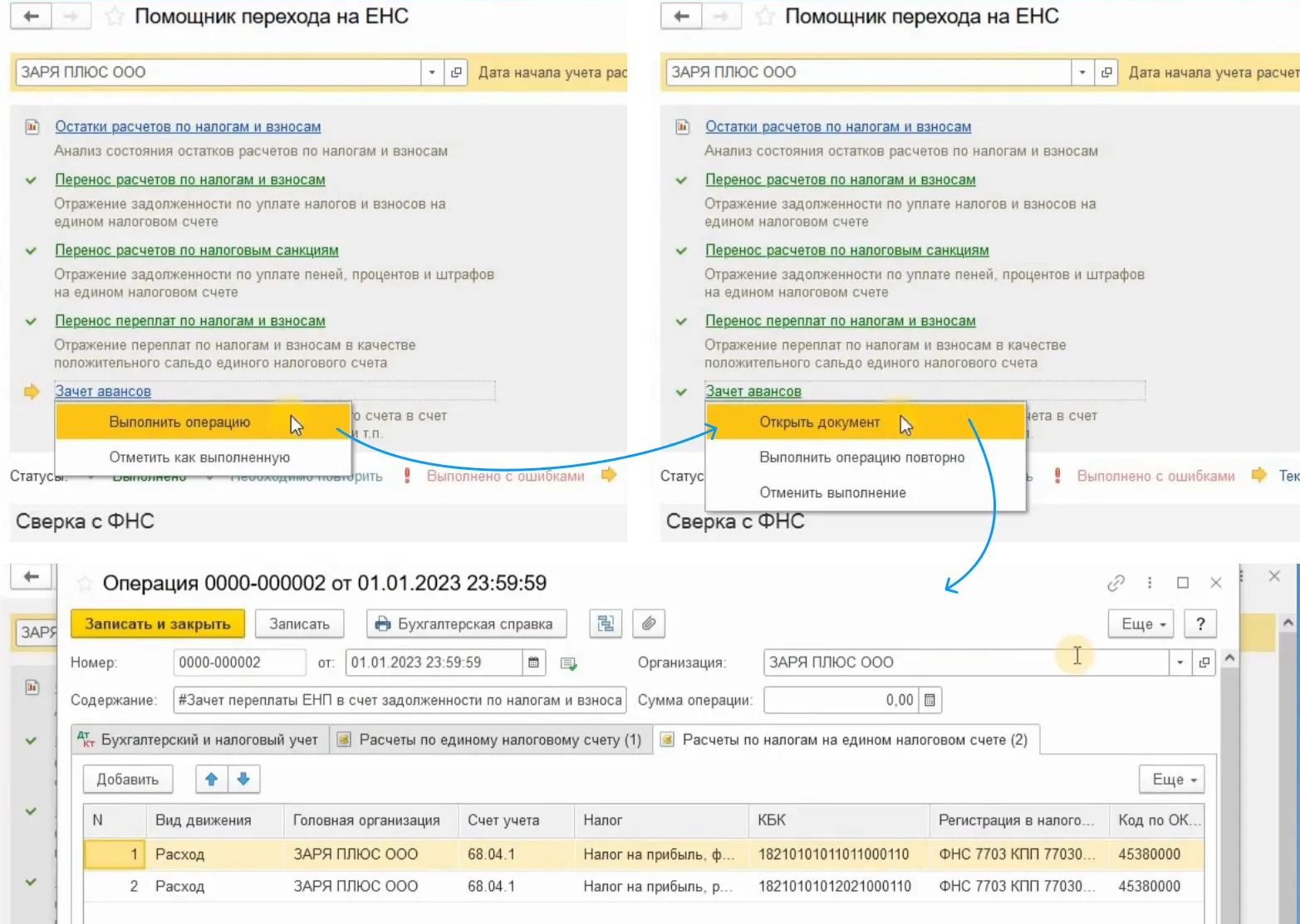 Как с енс списать налоги. Платеж ЕНС образец. Что такое ЕНС В бухгалтерии. 1с котик из бухгалтерии. ЕНС уведомление об исчисленных суммах налогов.