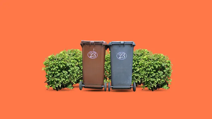 Вывоз мусора: что такое обращение с ТКО, когда можно за него не платить