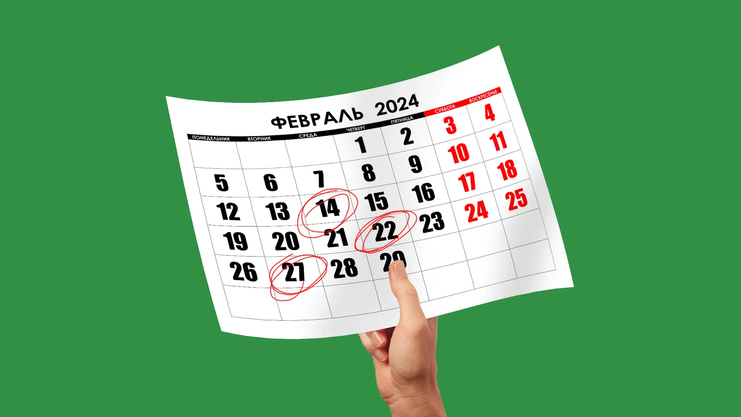 Календарь отчетов и платежей на февраль 2024 года для всех режимов налогообложения