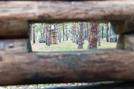 Пейнтбол