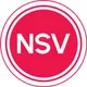 Логотип компании NSV Consulting