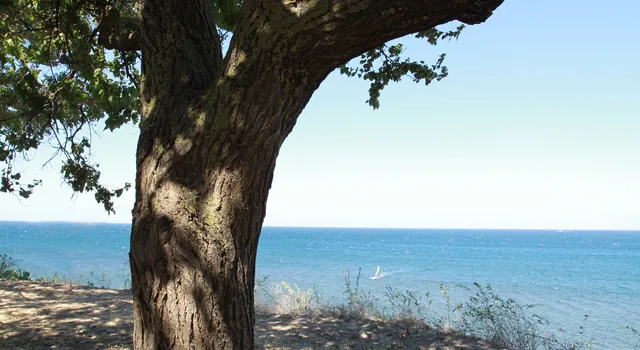 На острове Родос может вновь появится статуя Колосса Родосского 
