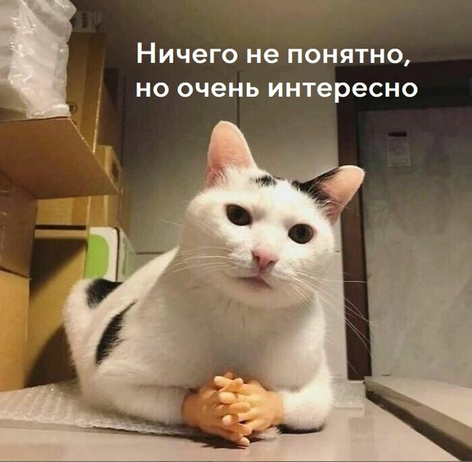варвар.jpg