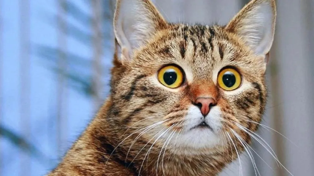 Как с помощью отсутствующих в уставе положений отжать через суд долю участника ООО