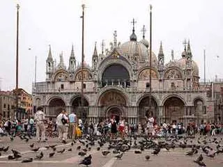 Венеция запретит туристам кормить голубей