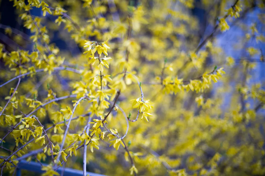 И прости нам долги наши: в какой момент фирма может списать свою задолженность перед контрагентами