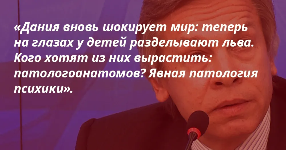 Алексей Пушков, депутат Госдумы РФ