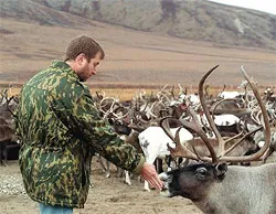 Абрамовича не отпускают с Чукотки - он станет депутатом