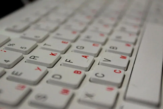 Документы для получения детских пособий могут быть представлены в электронной форме