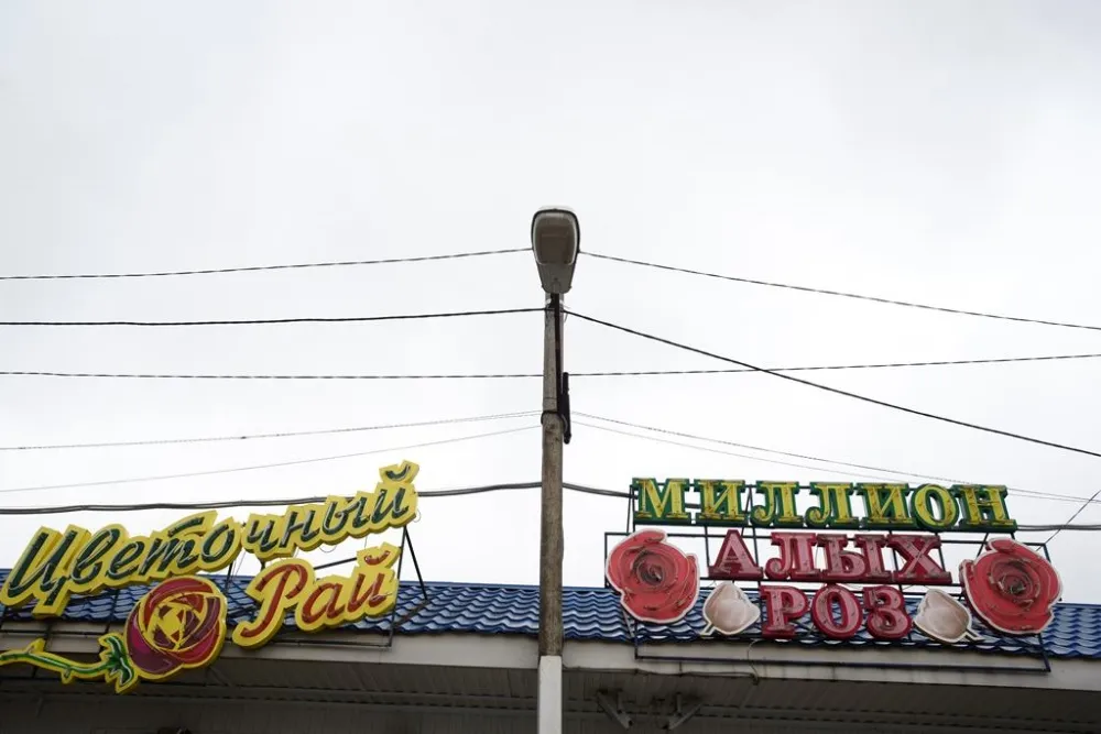 В Омской области внесены поправки в условия применения ПСН