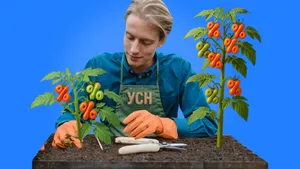 Расчет НДС на УСН