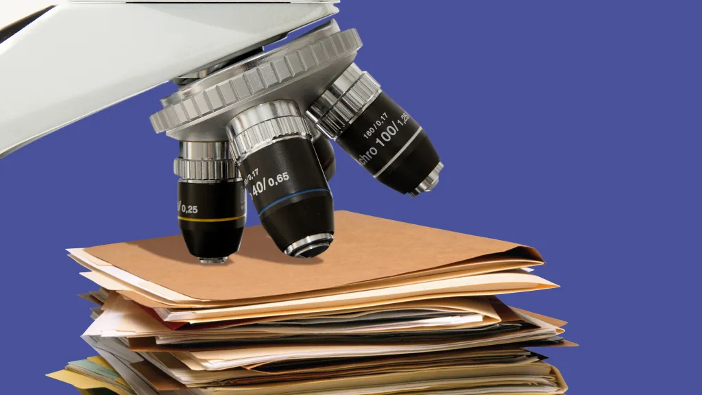 Открывается сезон камералок