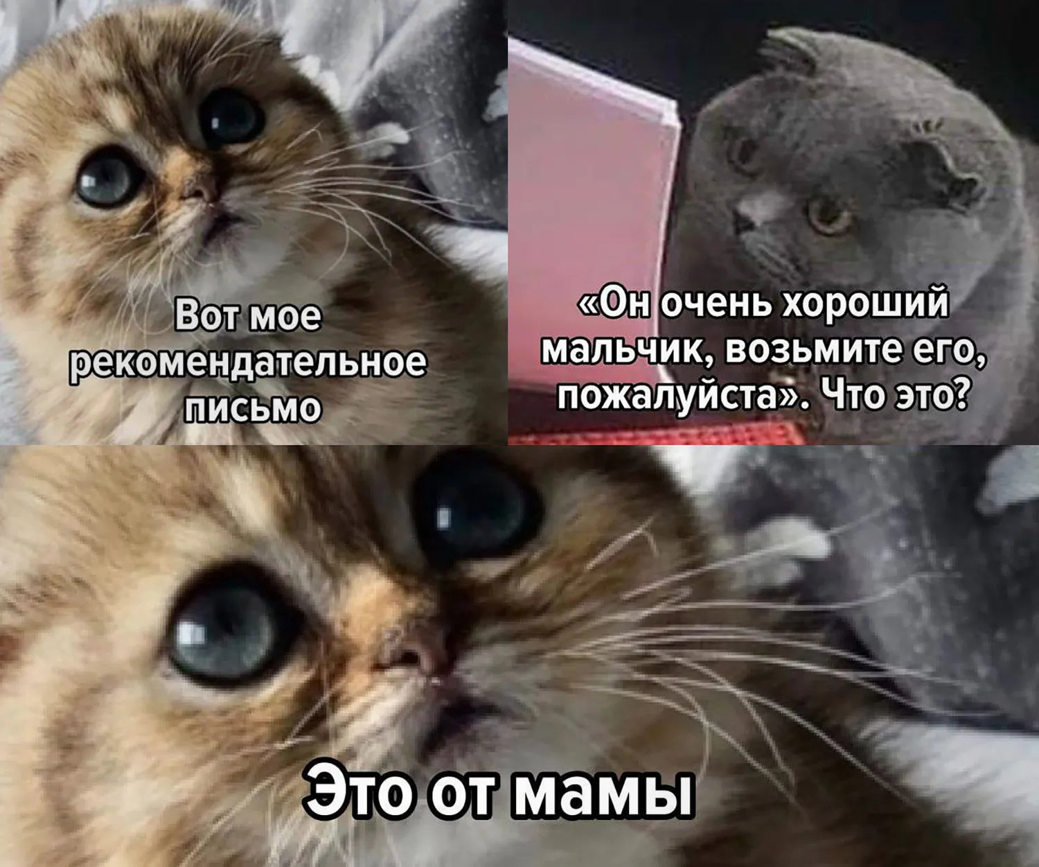 Рекомендацииотмамы—неплохо,ноотбывшегоработодателя—ещелучше!