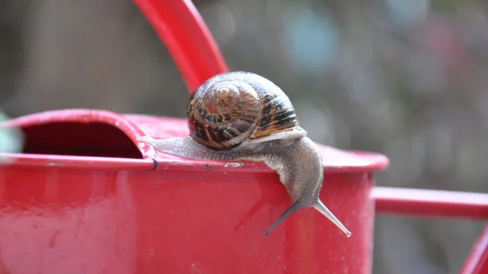 Дачников ждут новые правила: как изменится жизнь на садовом участке с новым законом