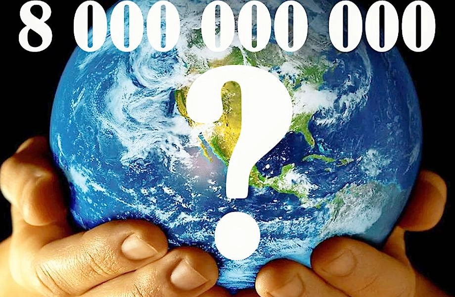 Население Земли достигло 8 млрд человек