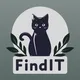 Логотип компании FindIT