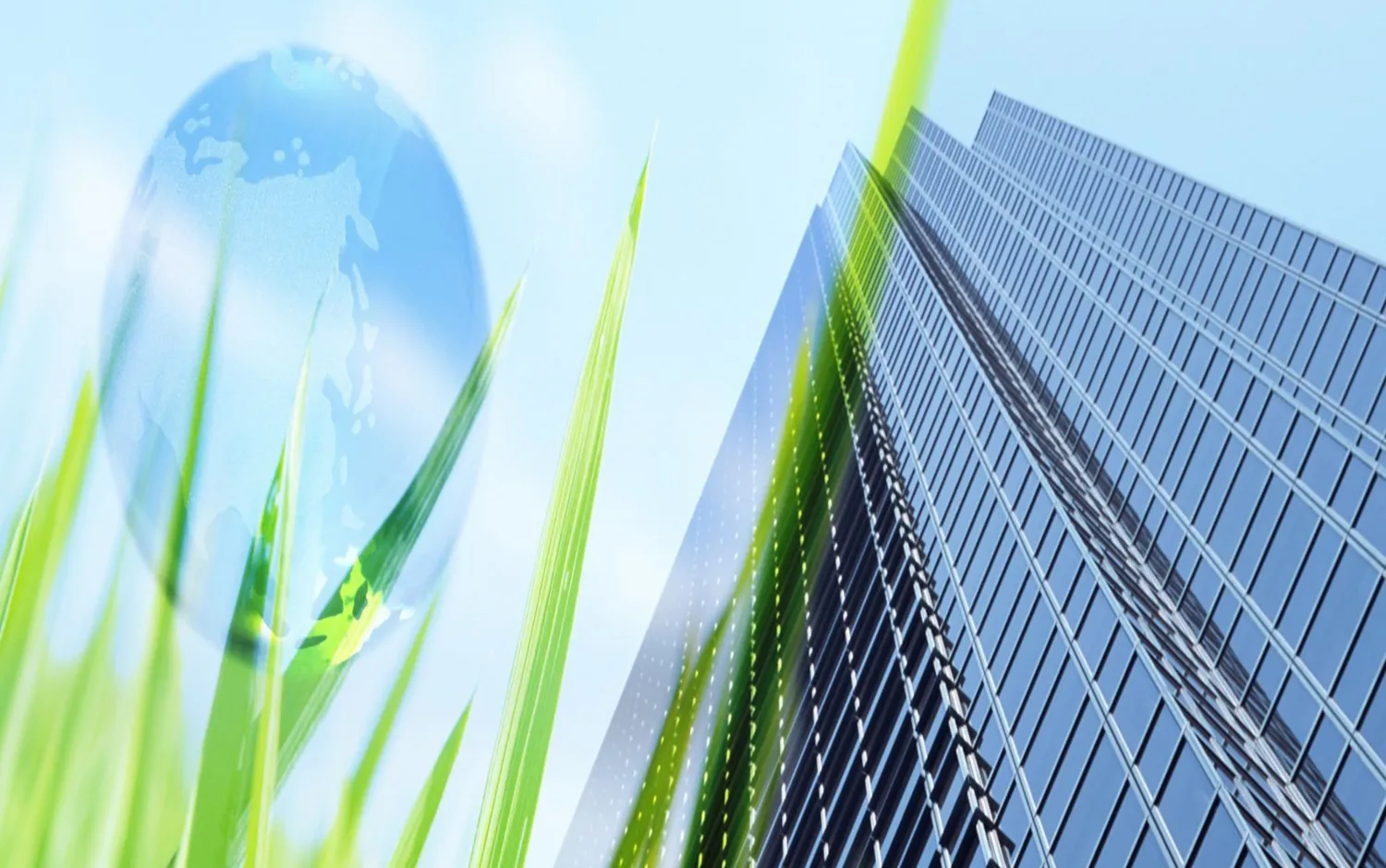 Раздел ООС: обязательный документ для экологической безопасности бизнеса