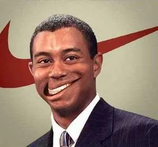 Nike разрешает ЦИКу поставить "галочку"
