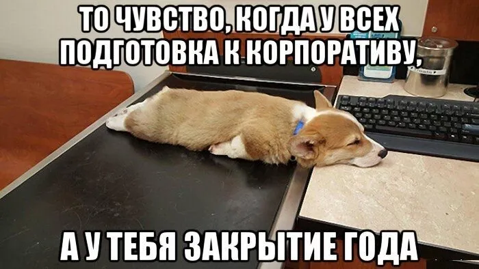 Так как скорее всего они. Так как скорее всего они